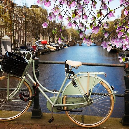House With 2 Private Independent Studio'S 120 M2 Central Amsterdam Luaran gambar